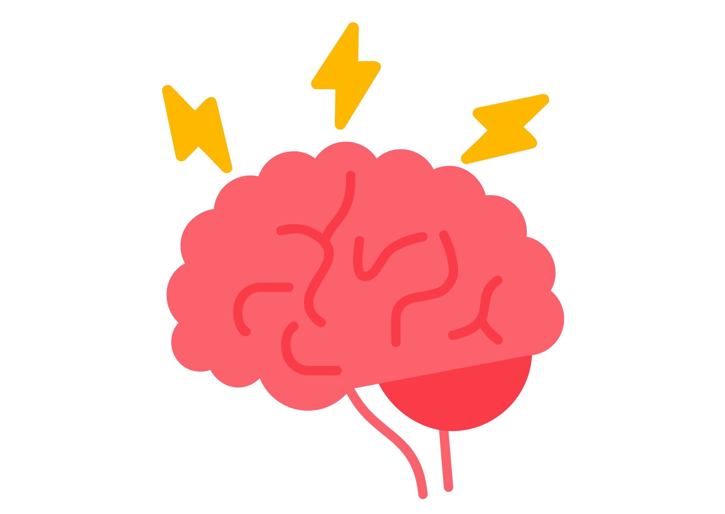 Brain illustration